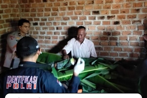 Seorang petani di Kabupaten Lampung Utara Tewas Terbakar Saat Membakar Lahan Untuk Persiapan Musim Tanam